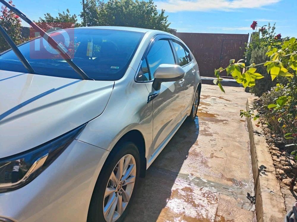 تويوتا كورولا